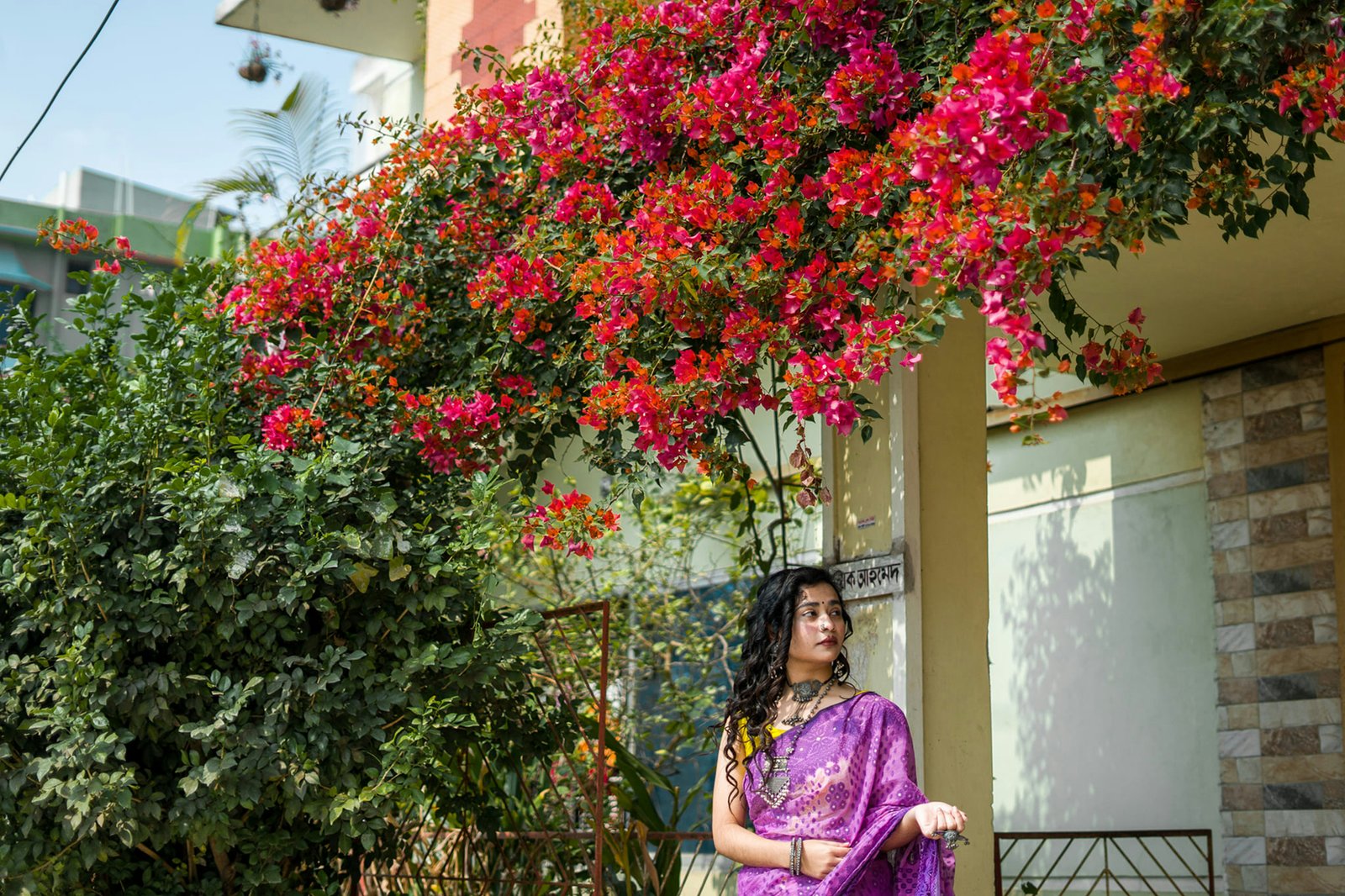 Mauve Soft Silk Saree