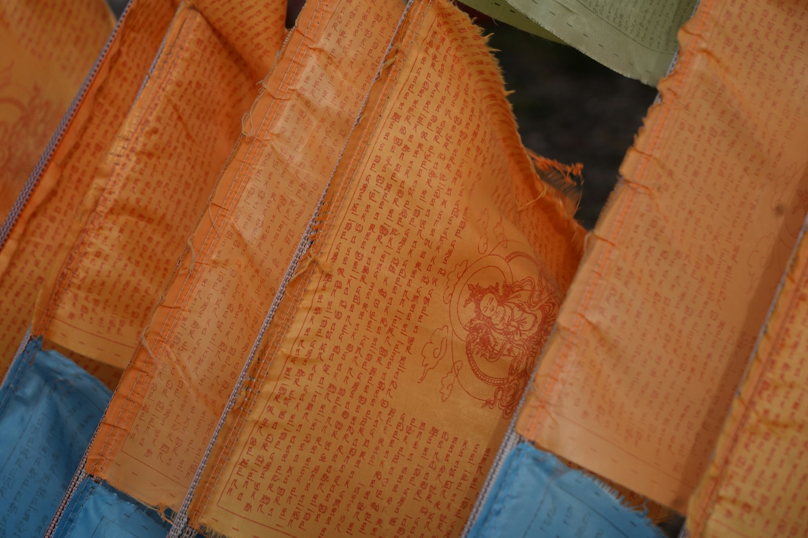 Peacock Blue Banarasi Silk Saree - Pallu & Border Detail